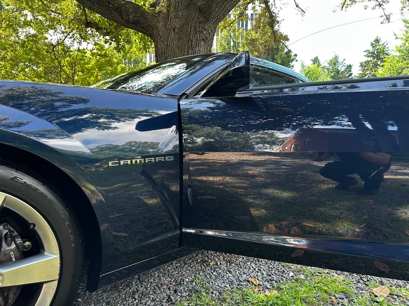 Business listing image