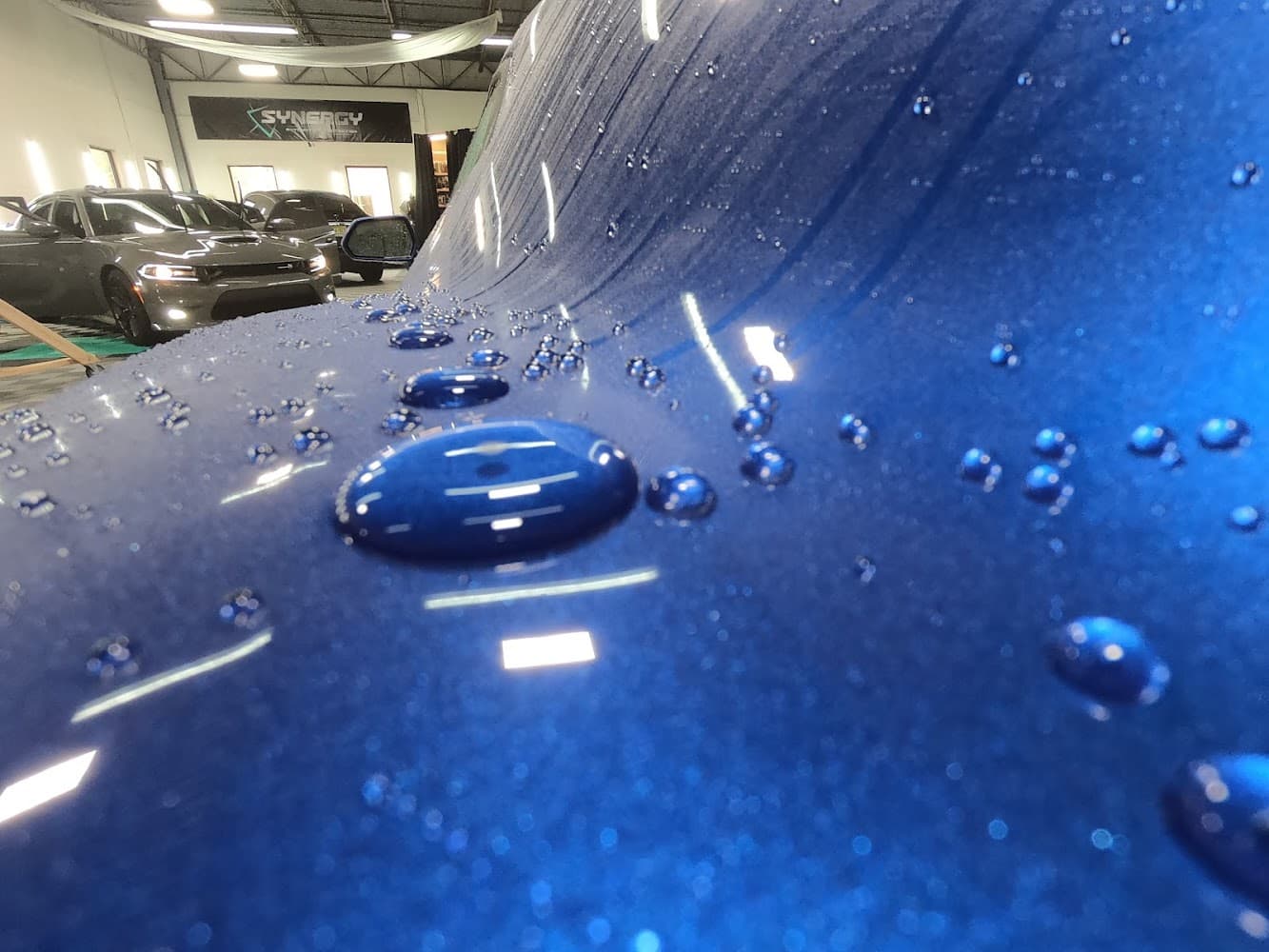 Business listing image